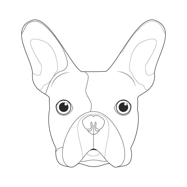 French Bulldog Dog Easy Coloring Cartoon Vector Illustration Isolated White — Vetor de Stock