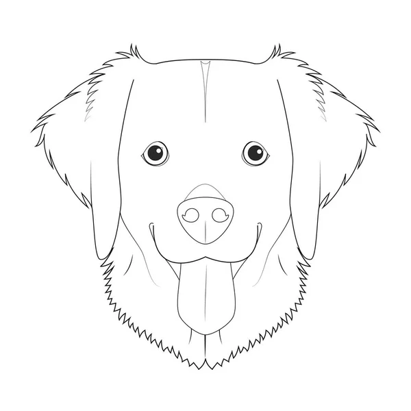 Golden Retrívr Pes Snadné Zbarvení Kreslený Vektor Ilustrace Izolováno Bílém — Stockový vektor