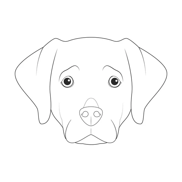 Labrador Retriever Perro Fácil Para Colorear Ilustración Vectorial Dibujos Animados — Vector de stock