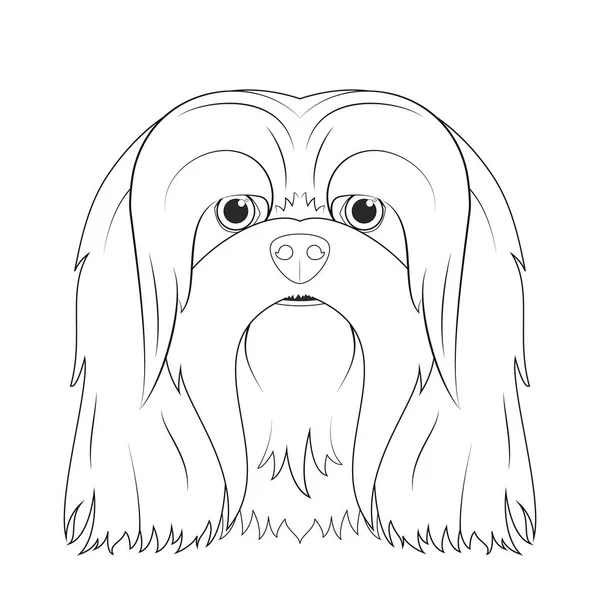Lhasa Apso Dog Easy Coloring Cartoon Vector Illustration Isolated White — Stock Vector
