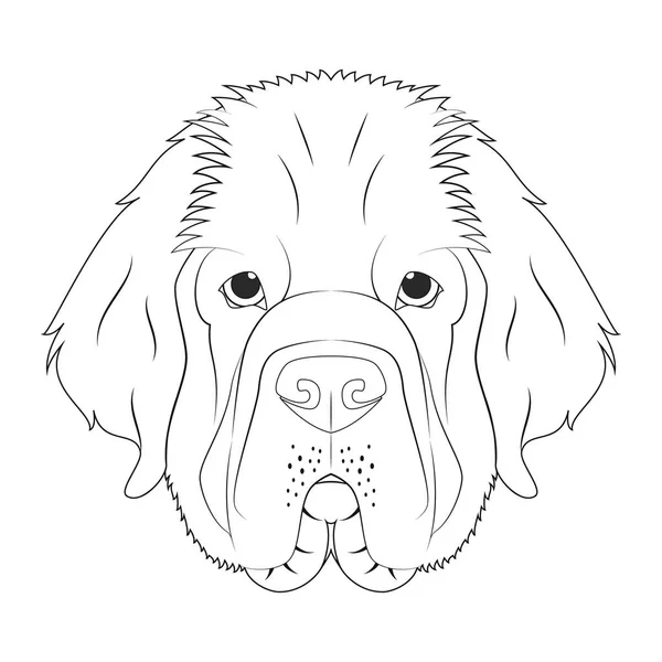 Newfoundland Hond Gemakkelijk Kleuren Cartoon Vector Illustratie Geïsoleerd Witte Achtergrond — Stockvector