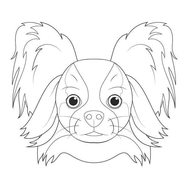 Papillon köpeği kolay renkli çizgi film vektör çizimi. Beyaz arkaplanda izole