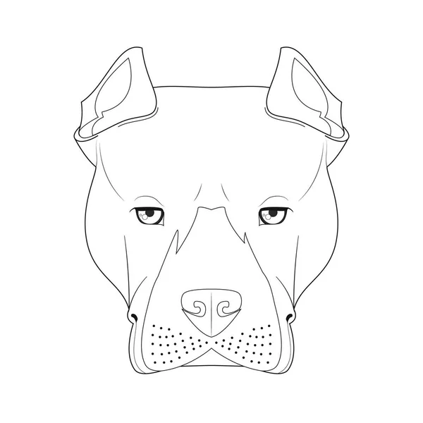 Pitbull Oder American Staffordshire Hund Einfach Färbung Cartoon Vektor Illustration — Stockvektor