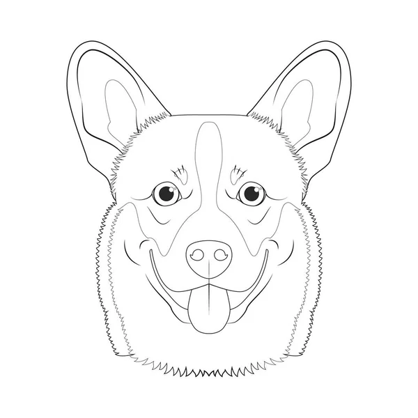 Pembroke Welsh Corgi Dog Easy Coloring Cartoon Vector Illustration Isolated — Vetor de Stock