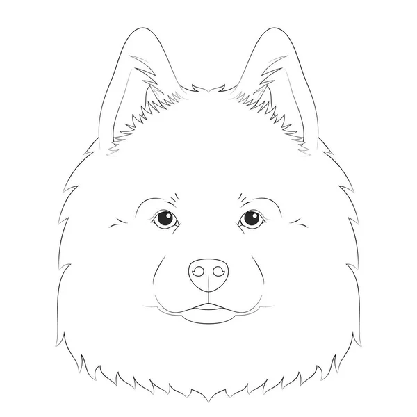 萨摩亚犬容易着色的卡通矢量插图 因白人背景而被隔离 — 图库矢量图片