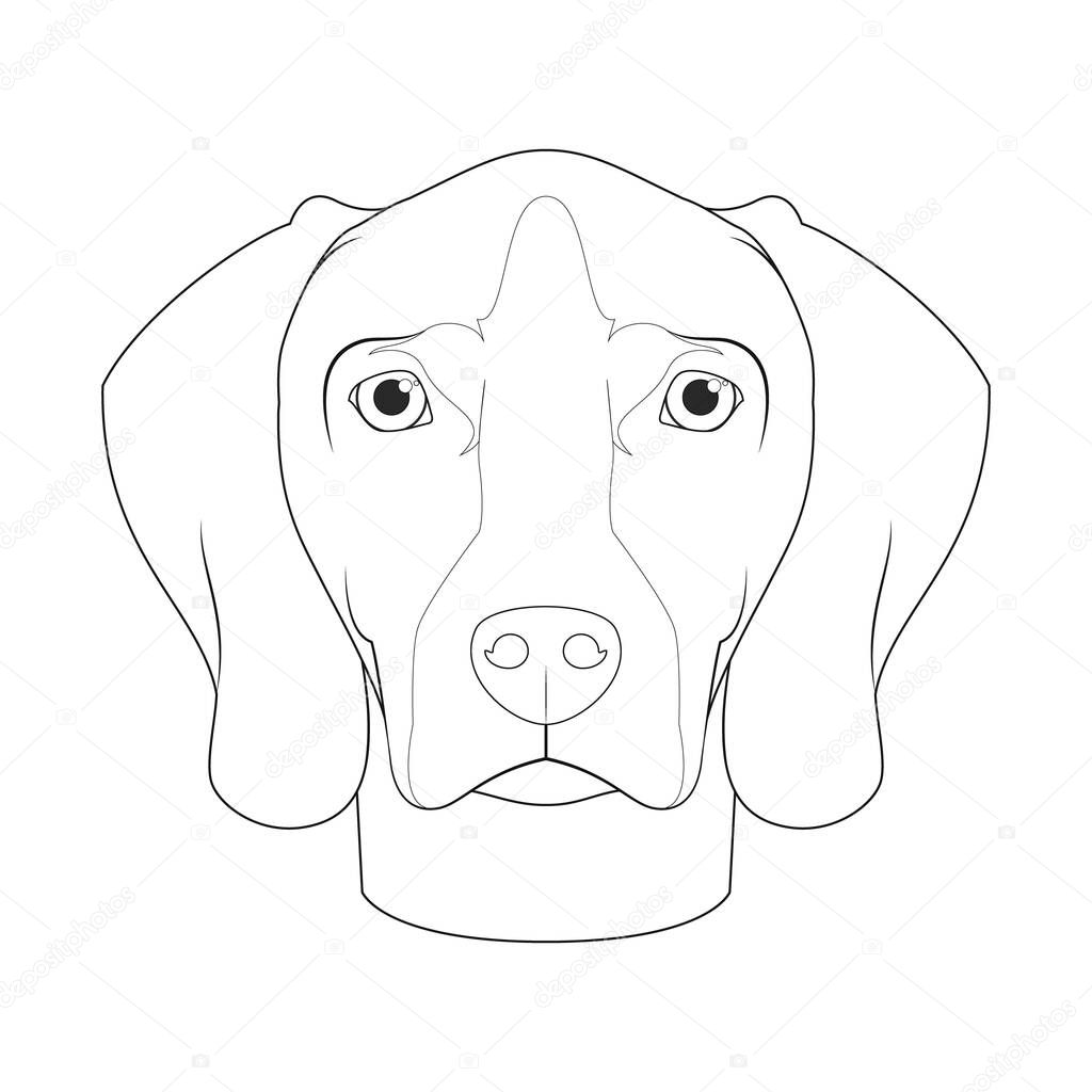 Weimaraner dog easy coloring cartoon vector illustration. Isolated on white background