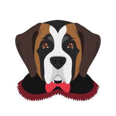 Cadılar Bayramı tebrik kartı. Sivri dişli ve pelerinli bir vampir gibi giyinmiş Aziz Bernard köpeği.