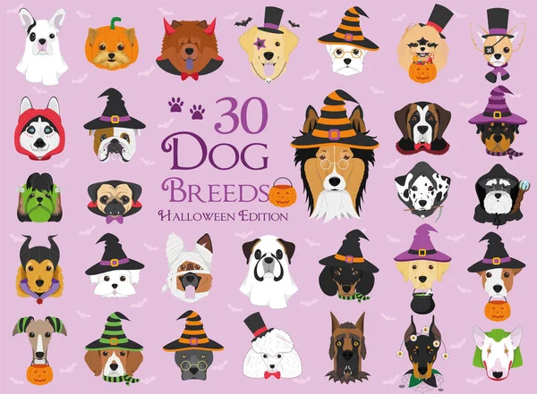 Set Dog Breeds Halloween Costumes — Stock Vector