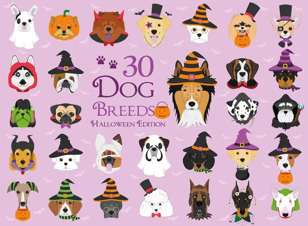 Set Razas Perros Con Disfraces Halloween — Vector de stock