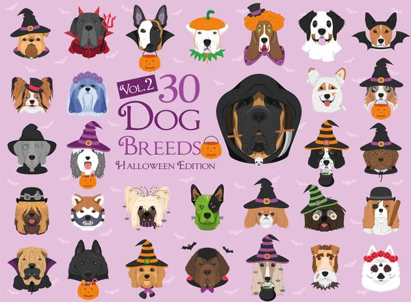 Set Dog Breeds Halloween Costumes Set — Stock Vector