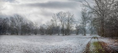 Karla kaplı bir arazide bir orman yolu.