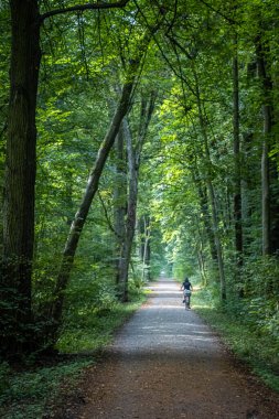 Orman yolunda bisiklet süren bir kadın.