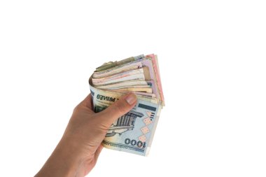 Banknot elinde farklı ülkeden ikiye katlanmış