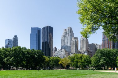 New York 'taki Central Park