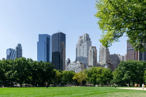 New York 'taki Central Park