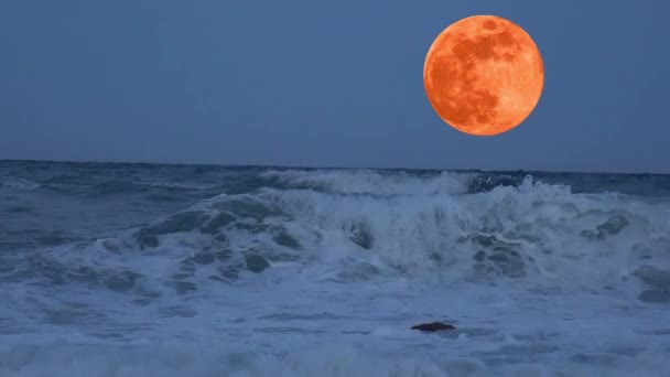 Volle maan bloed rood over de Atlantische Oceaan op Cape Cod Stock Video — Stockvideo