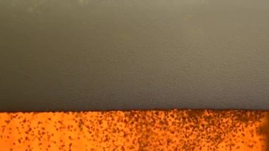 Bira köpükleri ve köpük kapağı. Yavaş Hareket