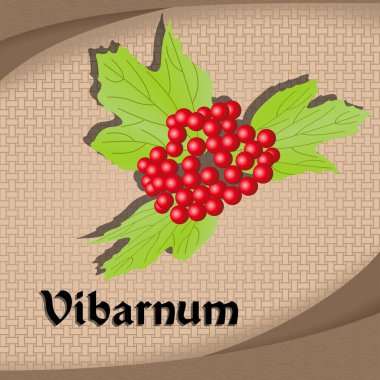 Baharatlı vibarnum vektör görüntü vintage renk etiketi