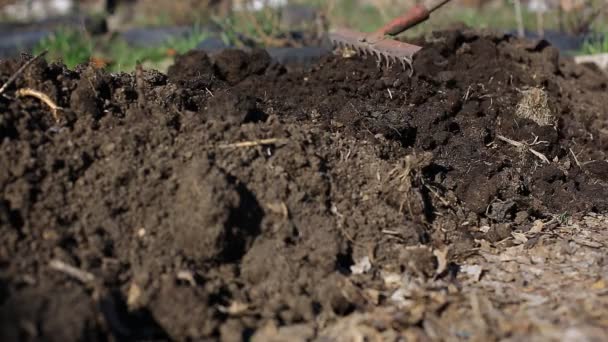The farmer makes beds for planting organic and environmentally friendly vegetables. Work in the garden — Stock Footage Farmer Makes Beds Planting Organic Environmentally Friendly Vegetables Work Garden Video Clip