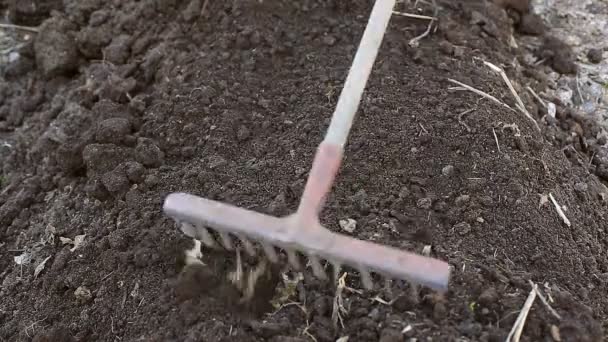 The farmer makes beds for planting organic and environmentally friendly vegetables. Work in the garden — Stock Footage Farmer Makes Beds Planting Organic Environmentally Friendly Vegetables Work Garden Royalty Free Stock Video