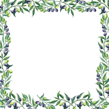 Suluboya zeytin dalı çerçevesi. Çizimi bırakır