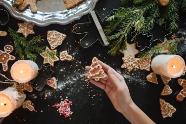Geleneksel Xmas çerçeve baharatlarla speculoos bisküvi