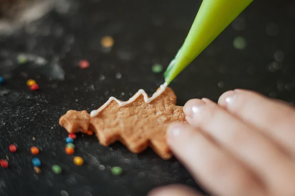 Traditional Xmas frame with spices, speculoos biscuits — Stock Photo, Image