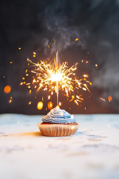 Birthday Cupcake with a sparkler