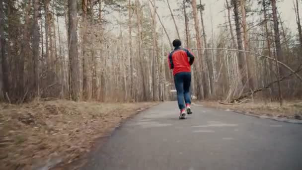 Man kör i skogen skogen utbildning — Stockvideo