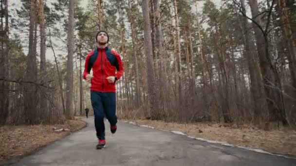 Человек, бегущий в лесах — стоковое видео