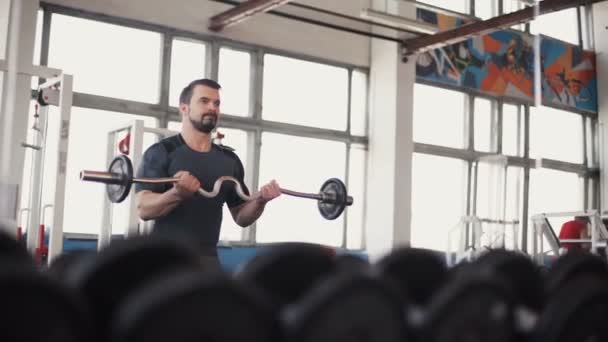 Homme fort - bodybuilder avec haltères dans une salle de gym, l'exercice avec un haltère — Video