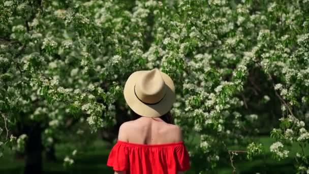 Mulher em árvores florescentes . — Vídeo de Stock