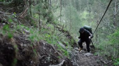 Ormanda, hiking hiker durur ve etrafına bakıyor