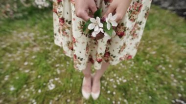 Ağır çekim. Kadının ellerini beyaz elma yaprakları ile güzel closeup.