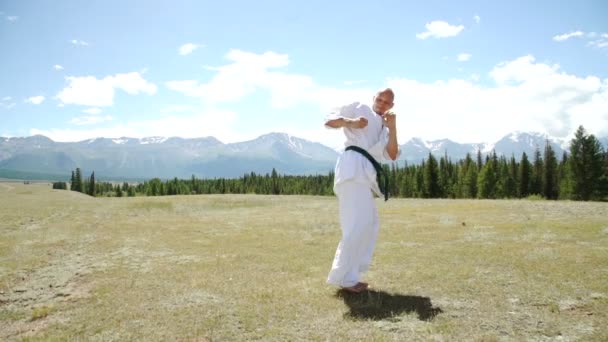 Homme et kung fu sur la nature . — Video