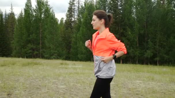 Mulher correndo na área florestal arborizada, treinando e se exercitando para percorrer maratona resistência trilha. Fitness conceito de estilo de vida saudável . — Vídeo de Stock