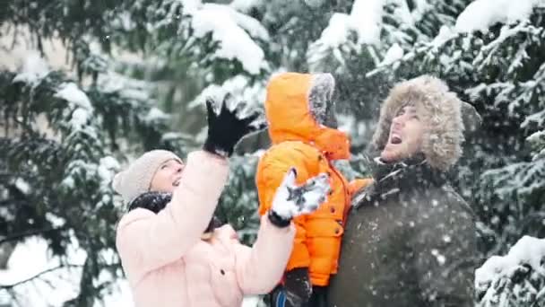Приваблива сім'я розважається в зимовому парку — стокове відео
