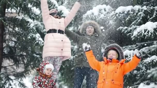 冬天好玩，下雪了，在冬天的时候滑雪橇的家庭 — 图库视频影像