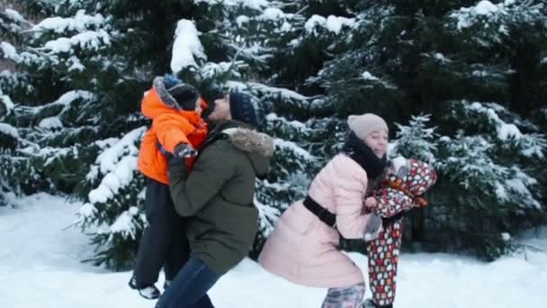 Diversión de invierno, nieve, trineo familiar en invierno — Vídeos de Stock