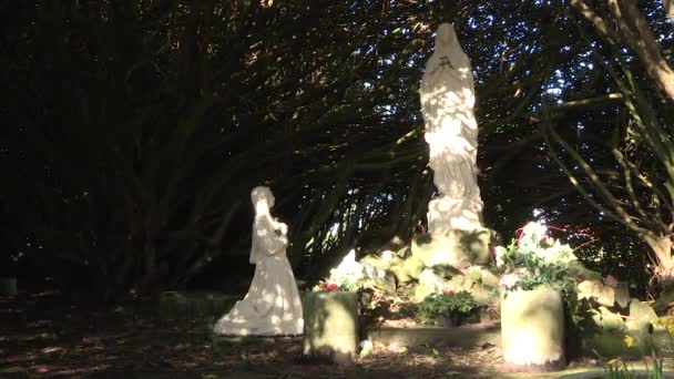 Марія в лісі — стокове відео