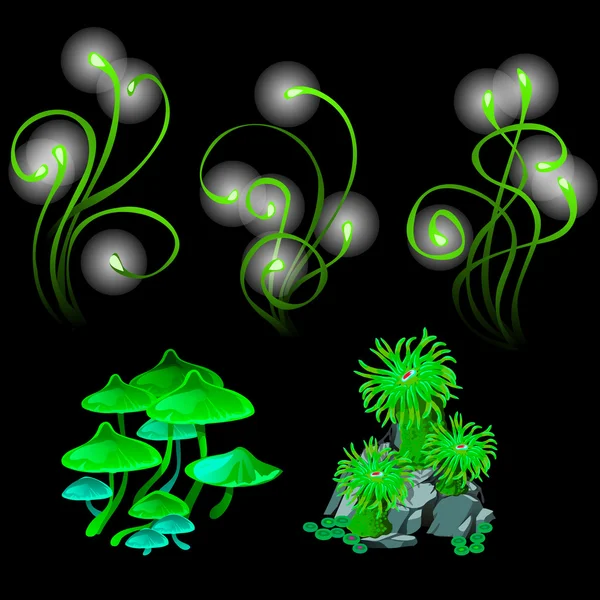 Fantastici funghi e polipi incandescenti — Vettoriale Stock