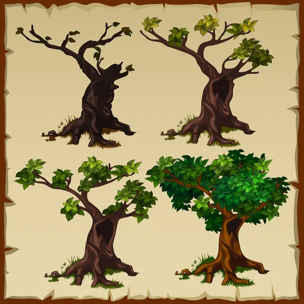 Vier beelden van de boom met bladeren en zonder — Stockvector