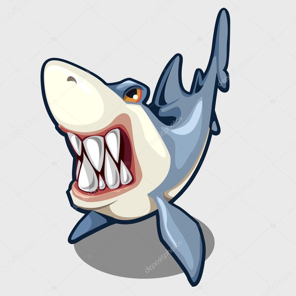 Evil shark with sharp teeth, isolated vector