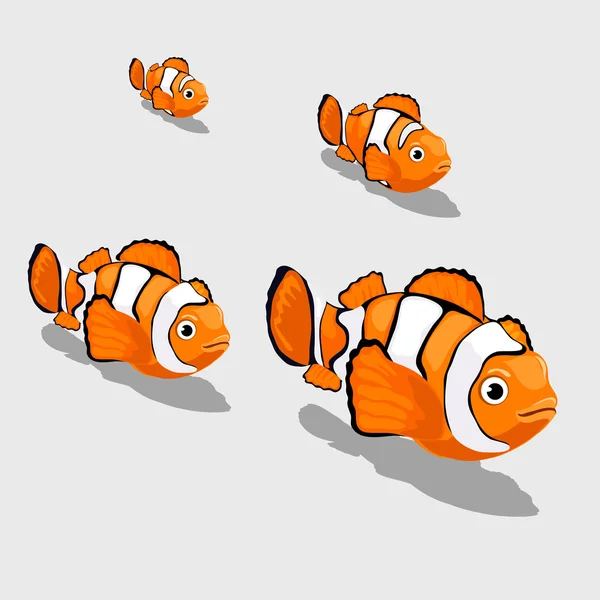 Clown ryb malé a zblízka izolované — Stockový vektor