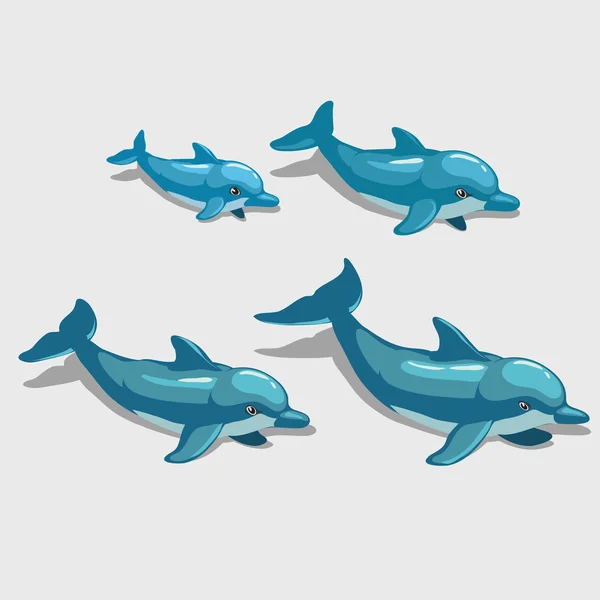 Четыре мультика Дельфина, персонаж для вашего дизайна — стоковый вектор