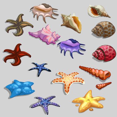 İstiridye ve midye, şık set ayarla