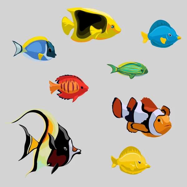 Collection of tropical and deep-sea fish — Stock Vector