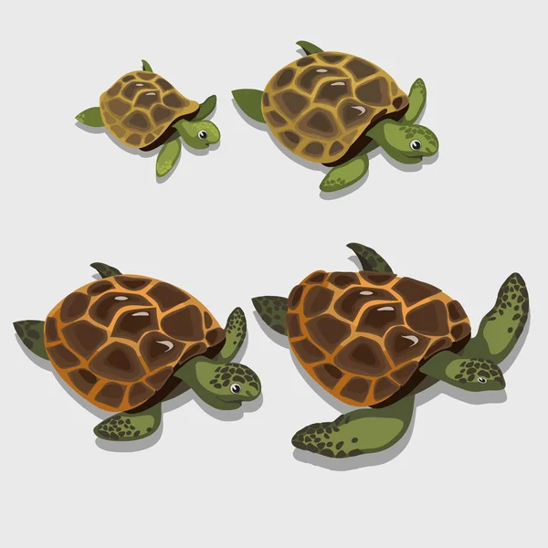 Grupo de tortugas en un primer plano estilo dibujos animados — Vector de stock