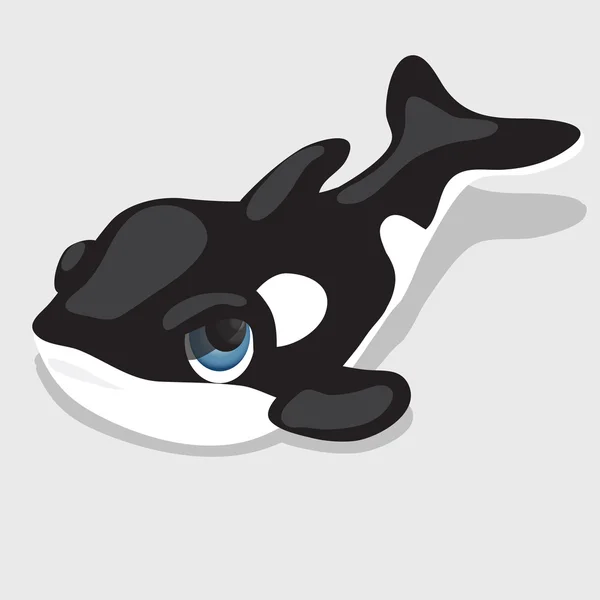 Orca em preto e branco com olhos azuis — Vetor de Stock