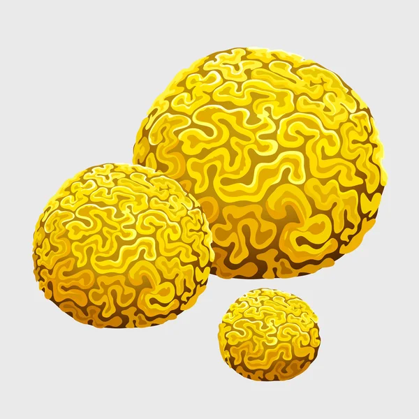 Żółta gąbka podwodne, polipy w formie mózgi — Wektor stockowy